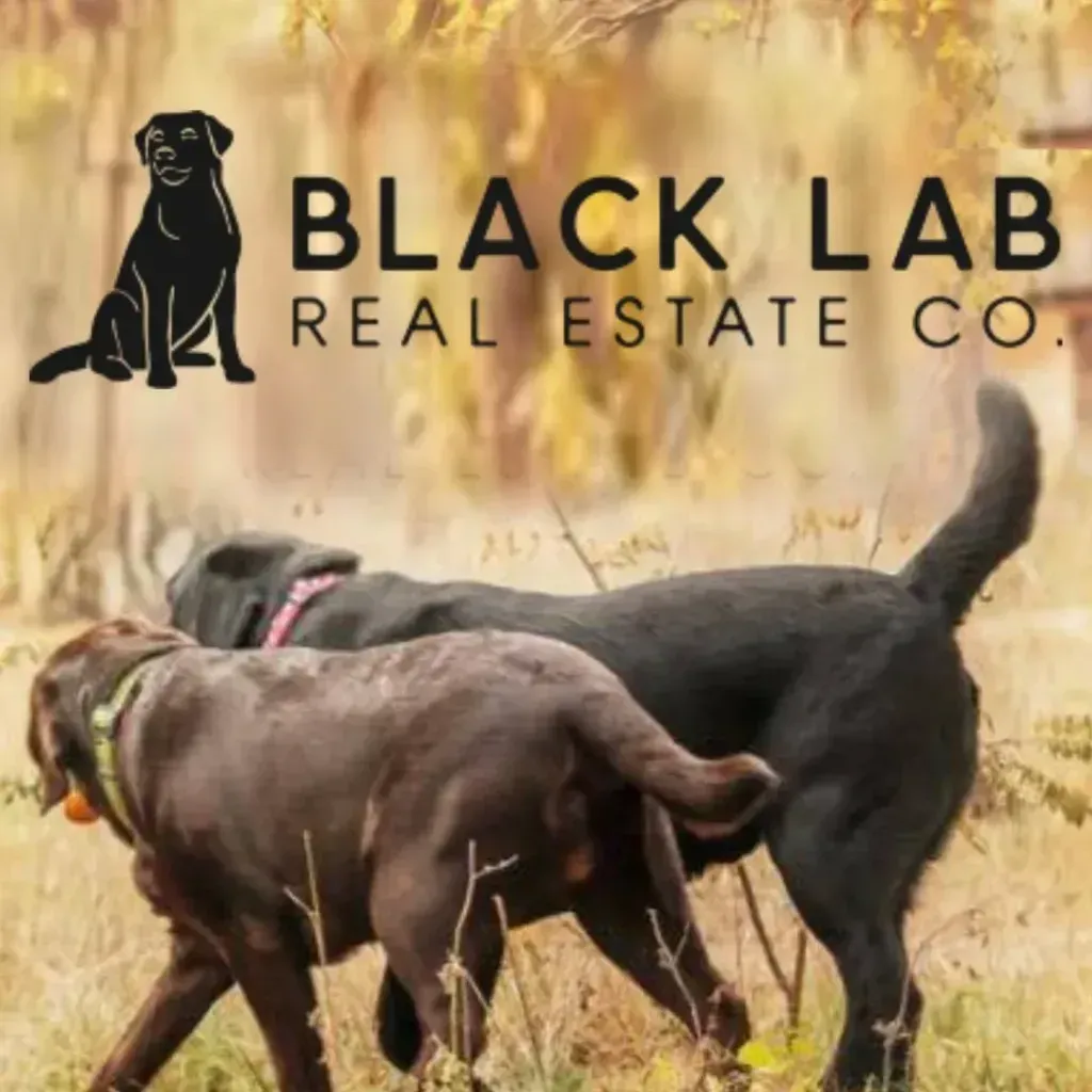 Black Lab Real Estate Co.